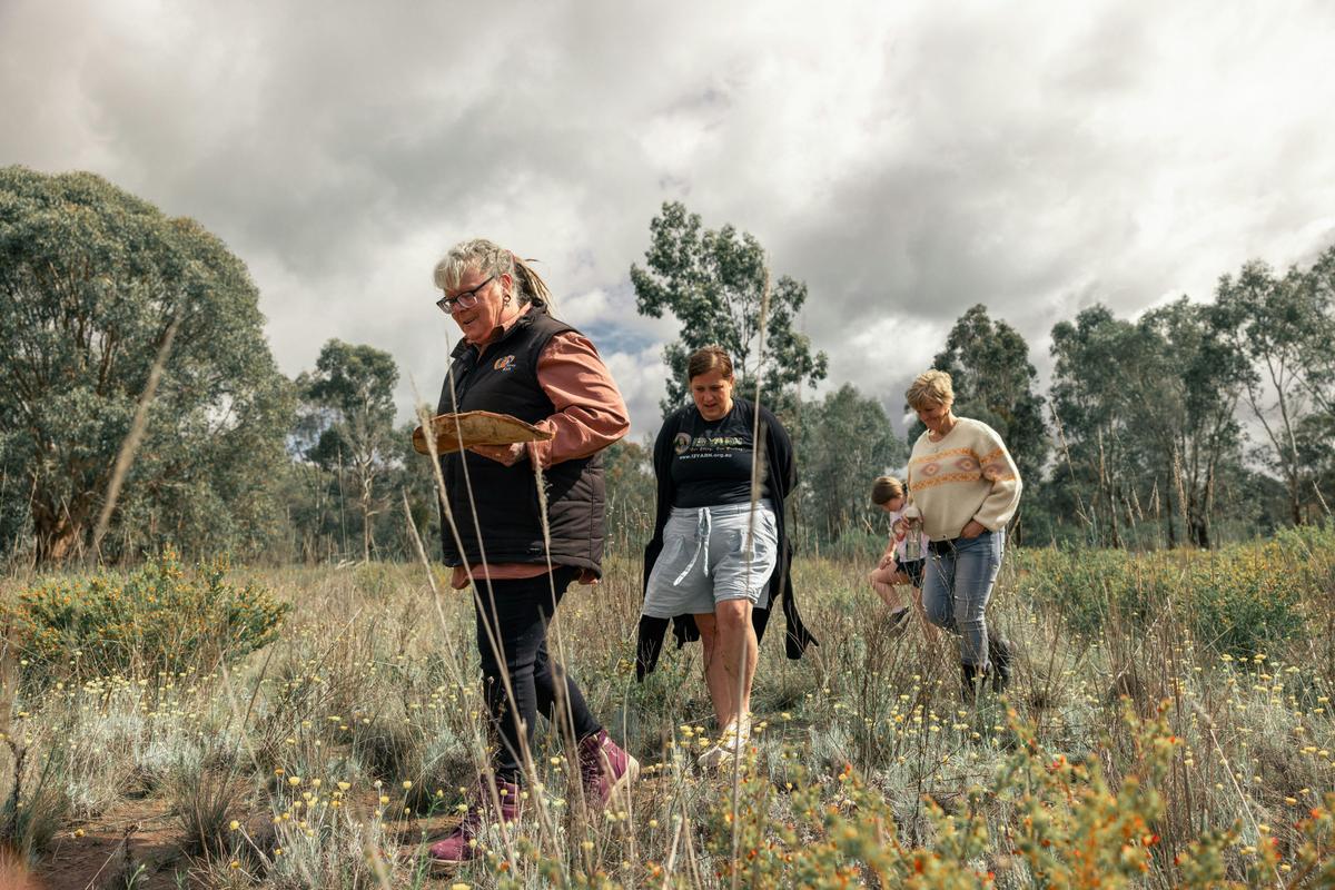 wawa Euroa - searching for bush tucker