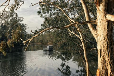 Tahbilk wetlands