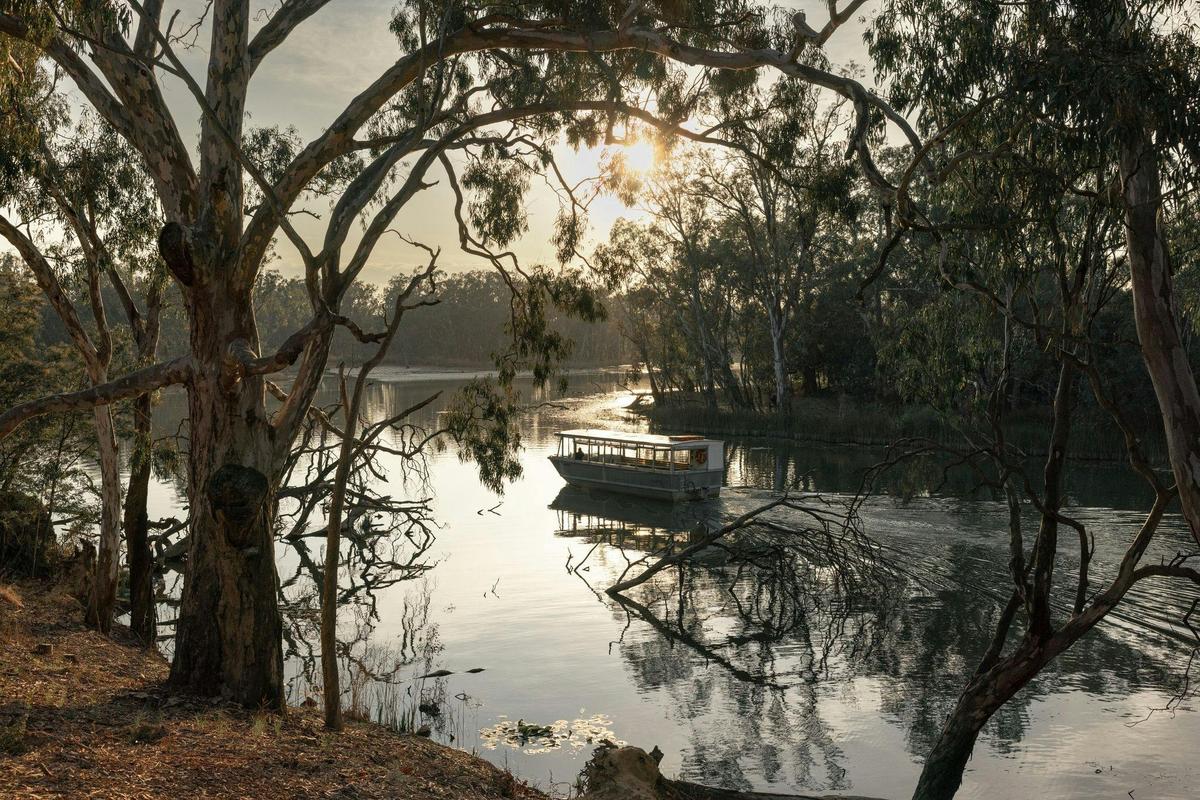 Tahbilk boat cruise