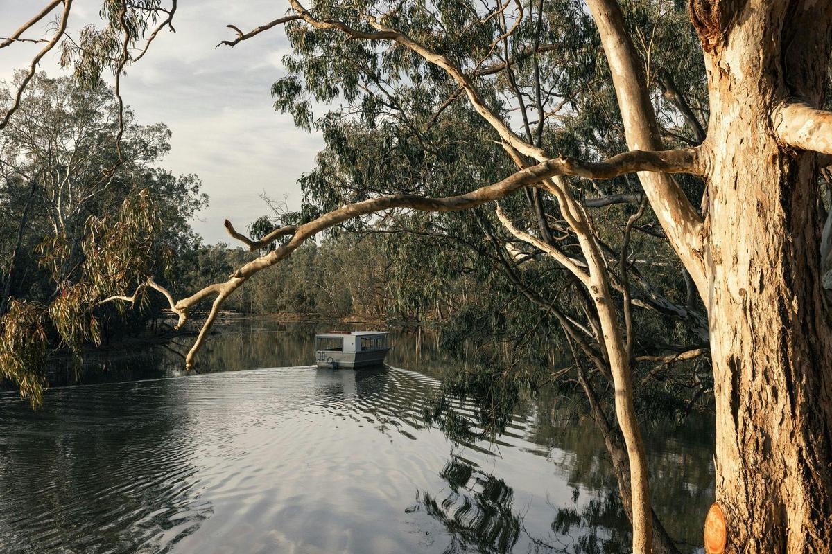 tabilk wetlands