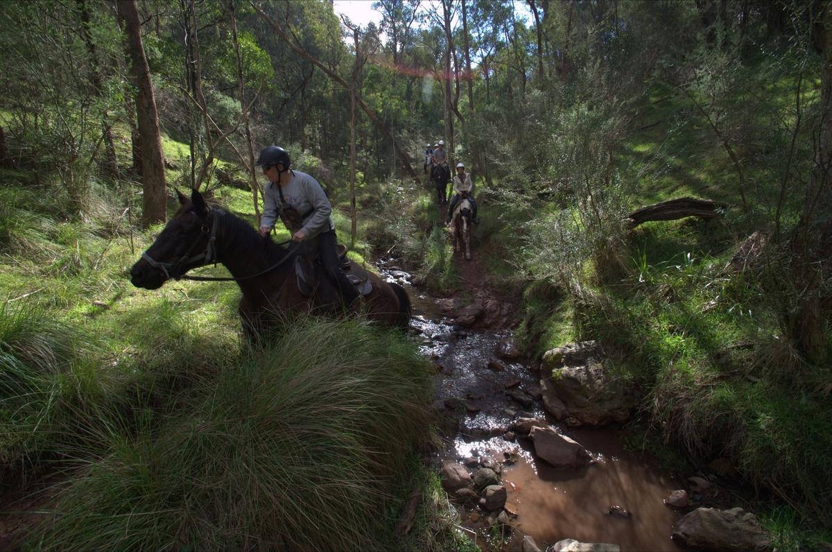 Crossing a creek on the overnight horse ride