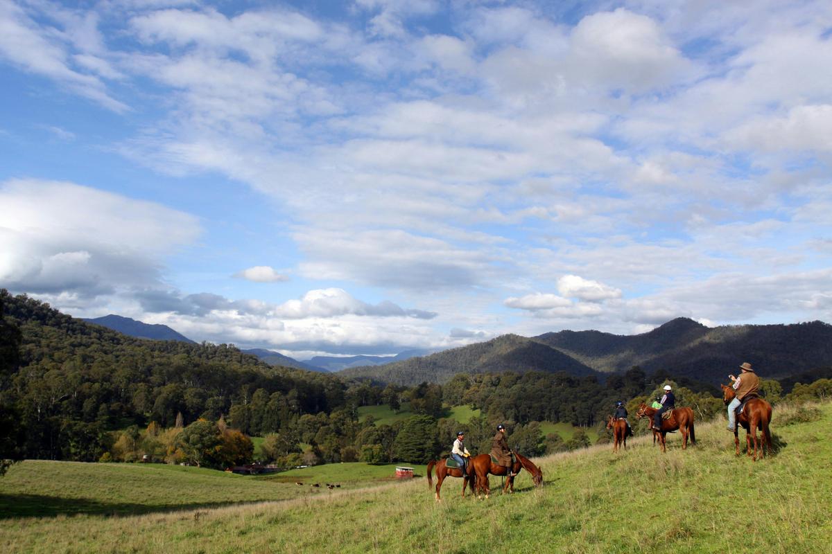 Spectacular high country scenery on the horse ride