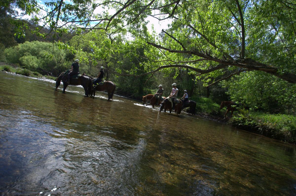 Horse riding through rivers