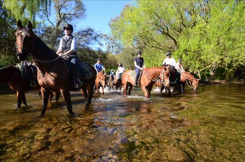 River crossing on two day horse ride