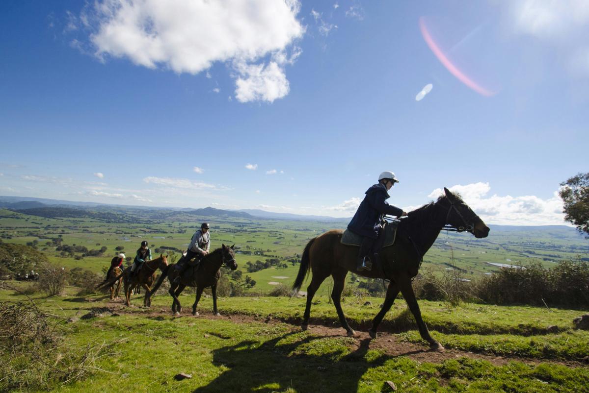 Leaving the farm on the overnight horse ride