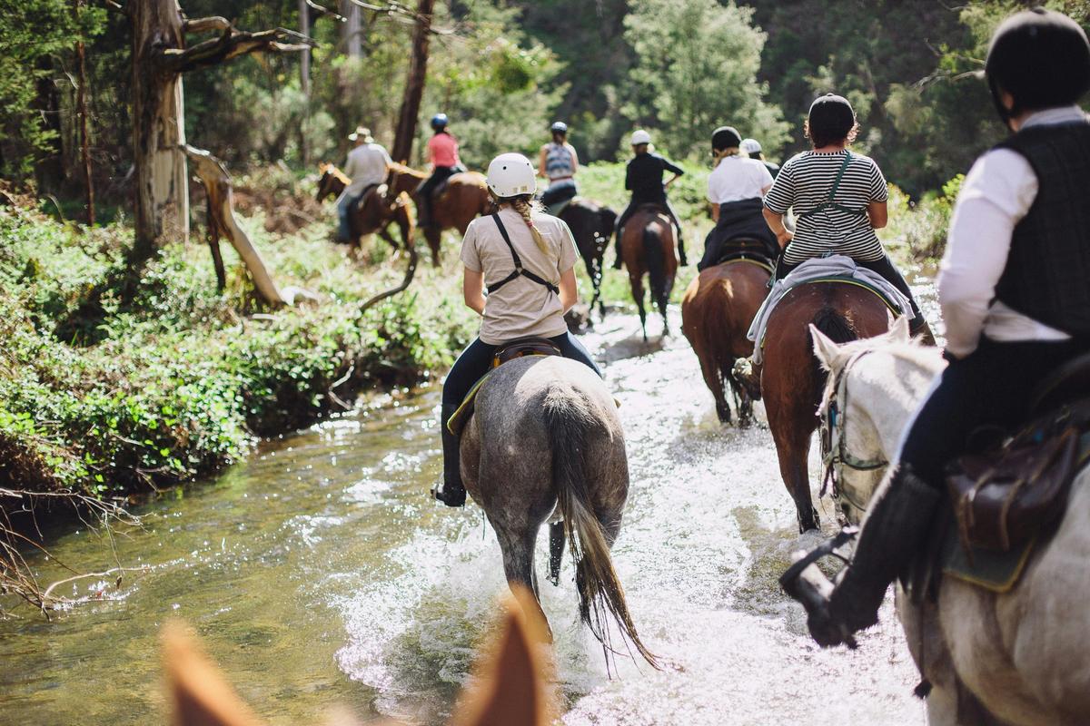 Horse riding across rivers