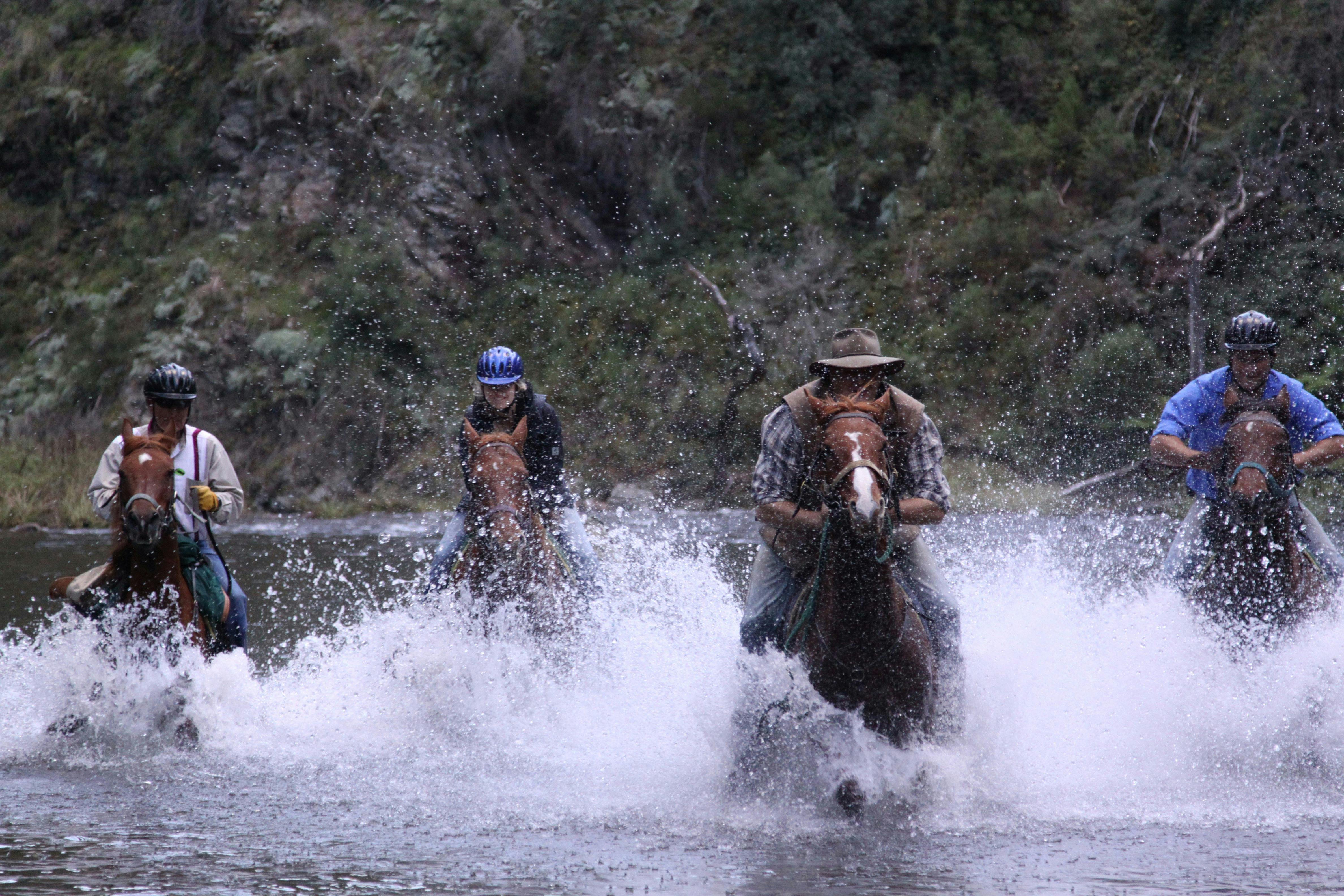 The excitement of five day horse rides