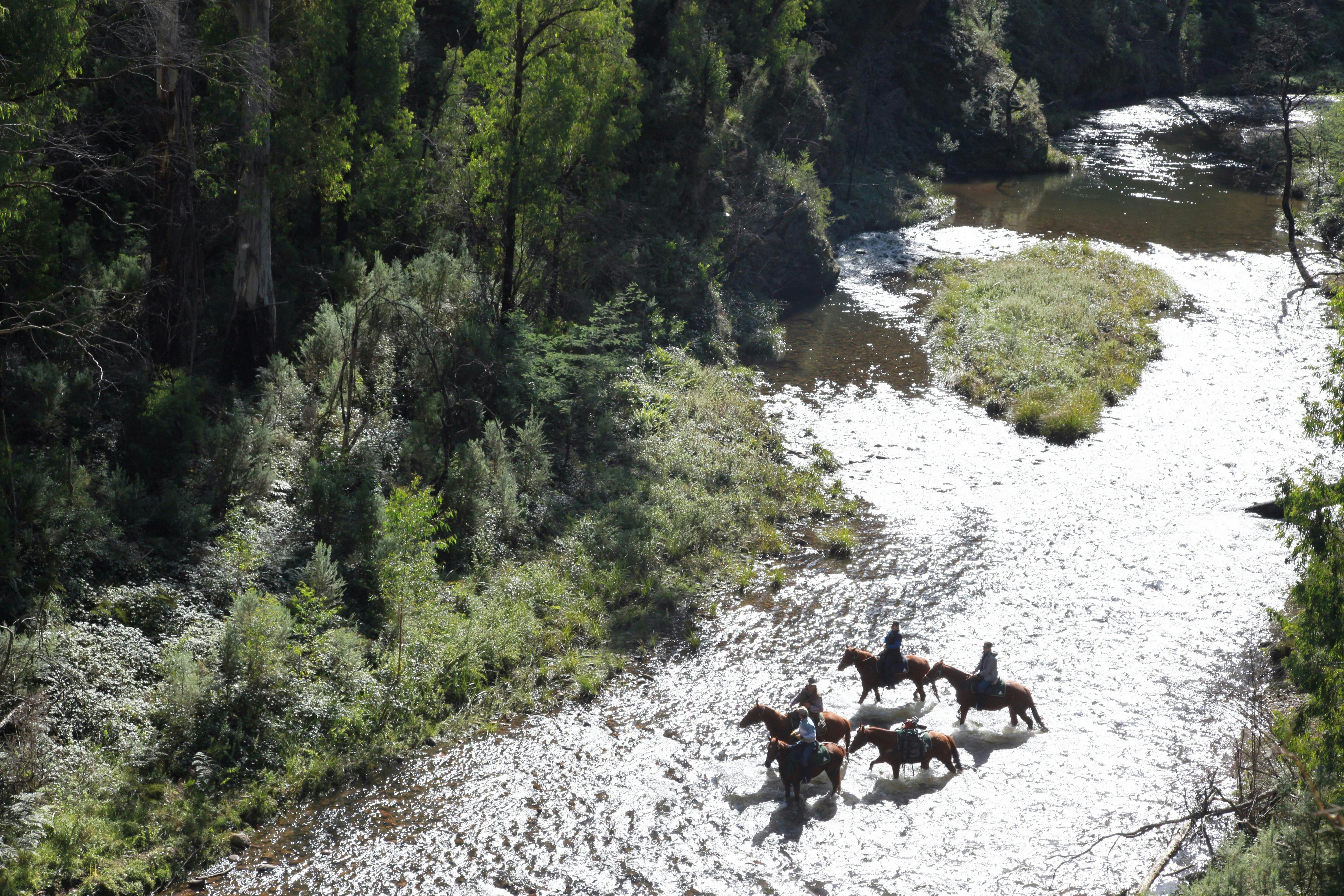 Remote horse riding along pristine rivers