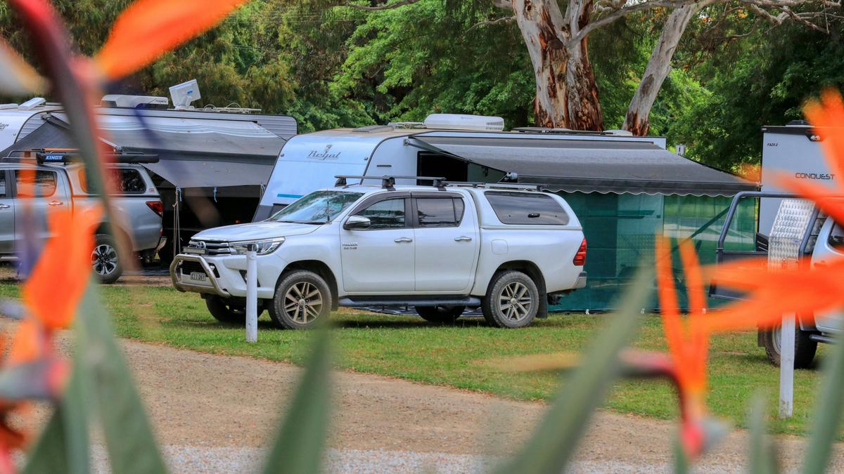 Powered site - grassy, level & shady