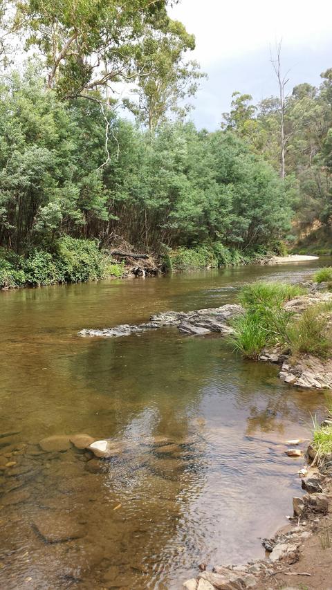 Upper Goulburn Historic Area