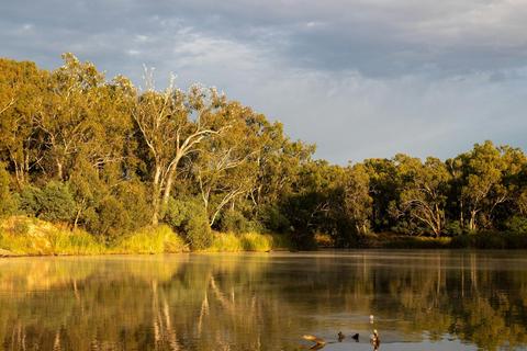 The Murray River (Dhungala)