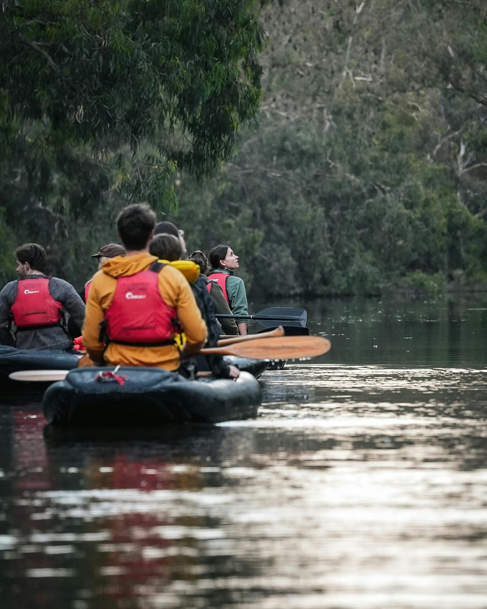 Paddling on the Birrarung