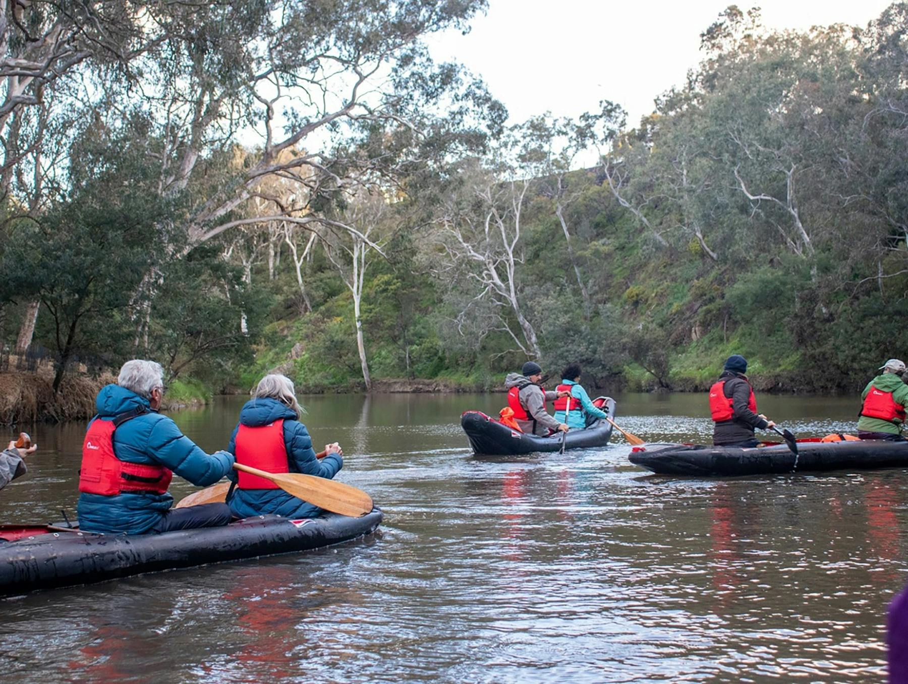 Paddling on the Birrarung