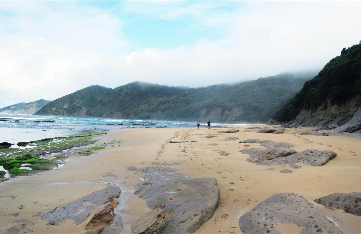 Long spectacular beaches Great Ocean Walk