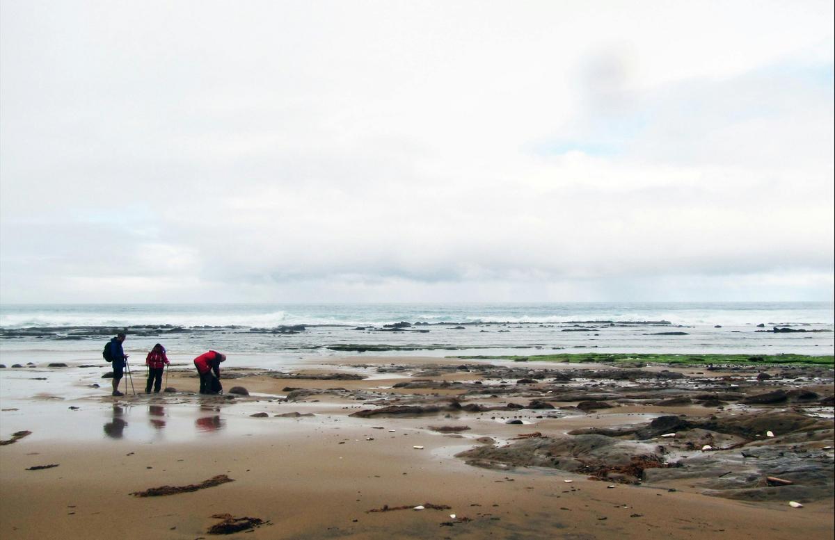 Milanesia Beach Great Ocean Walk Walk 91
