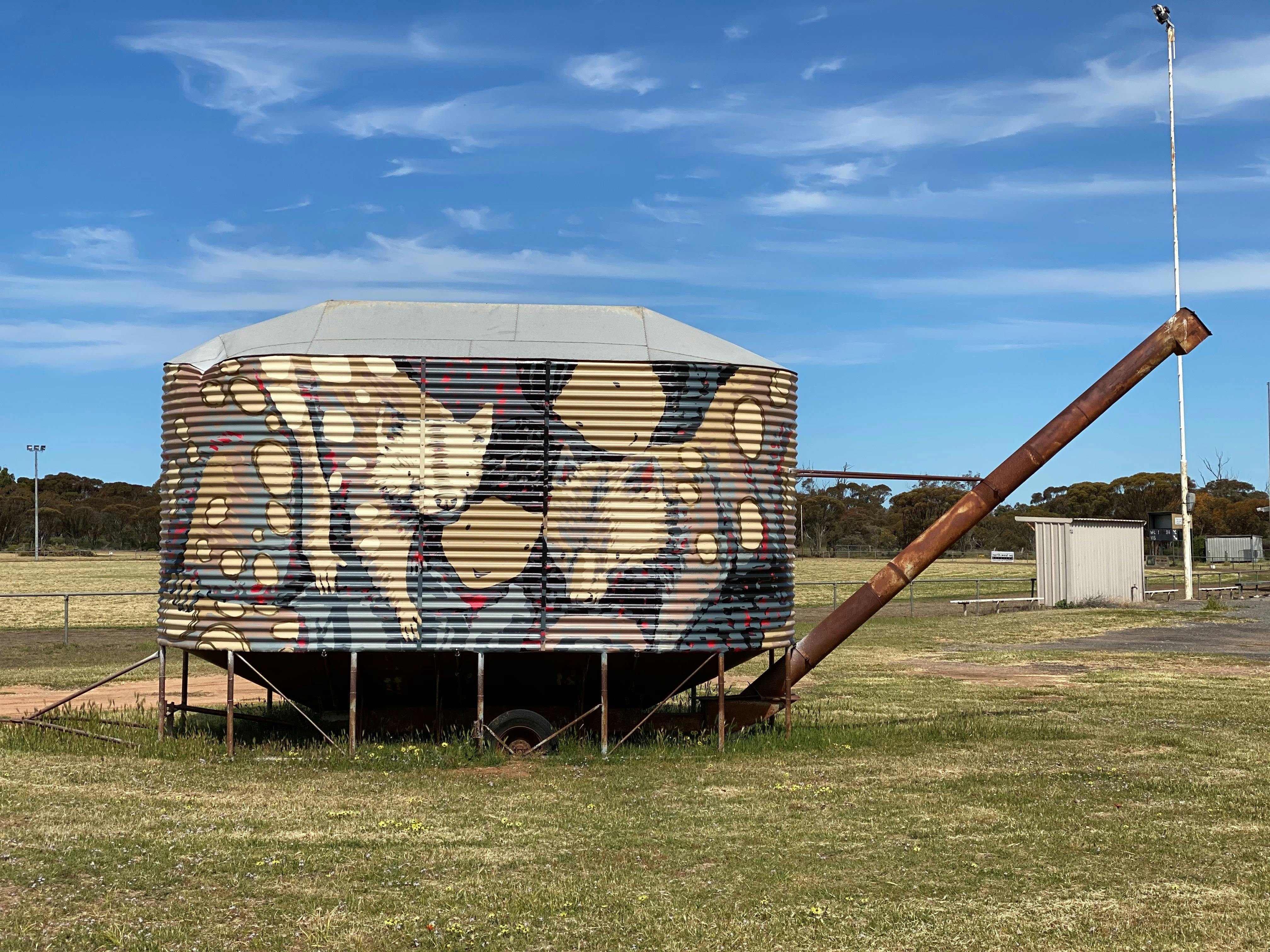 Spotted Tailed Quoll by Kaff-eine