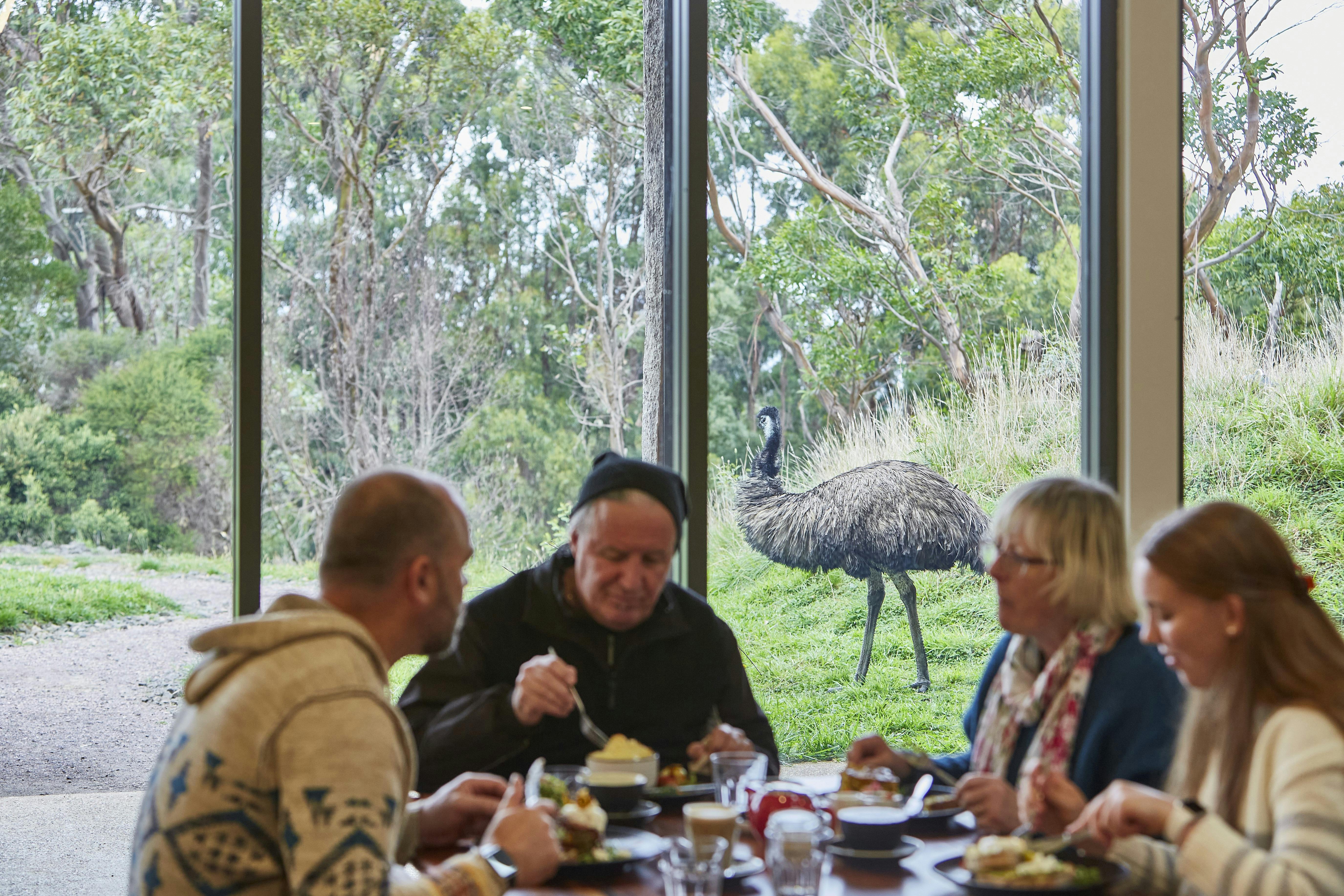 Emu Cafe at Wildlife Wonders