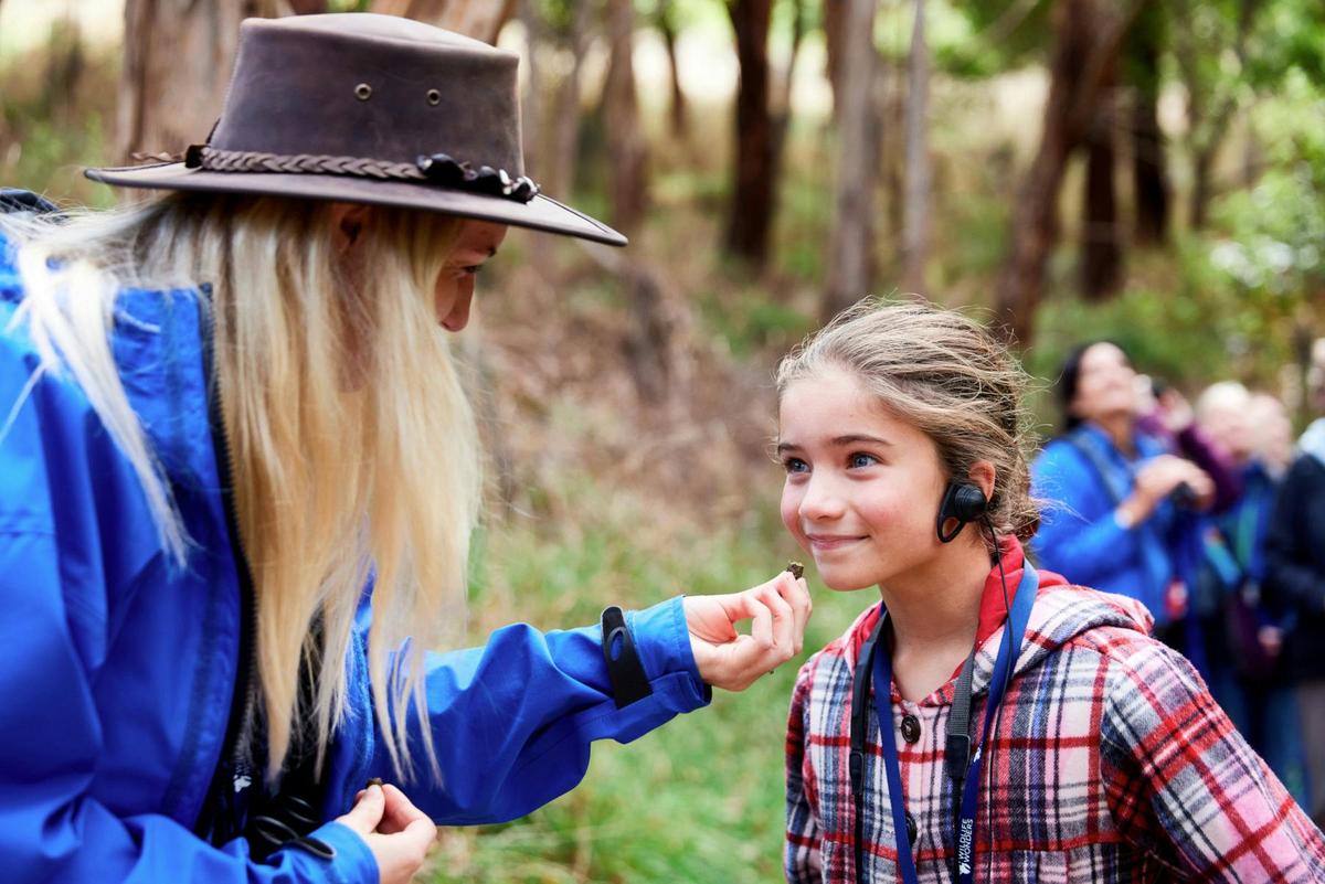 Guided tour at Wildlife Wonders
