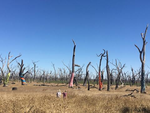 The Lunette Walk - Winton Wetlands