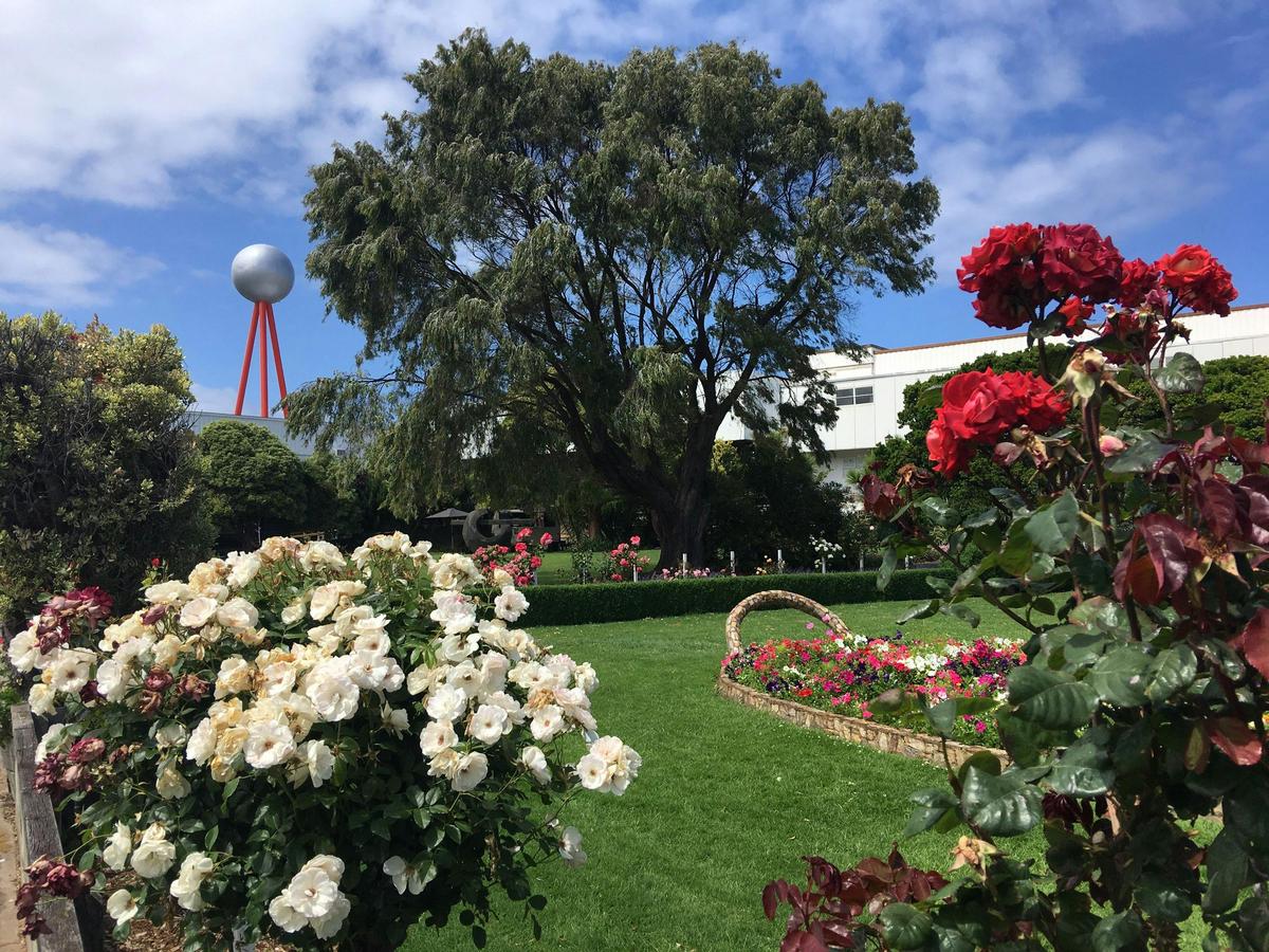 Beautiful Fletcher Jones Gardens