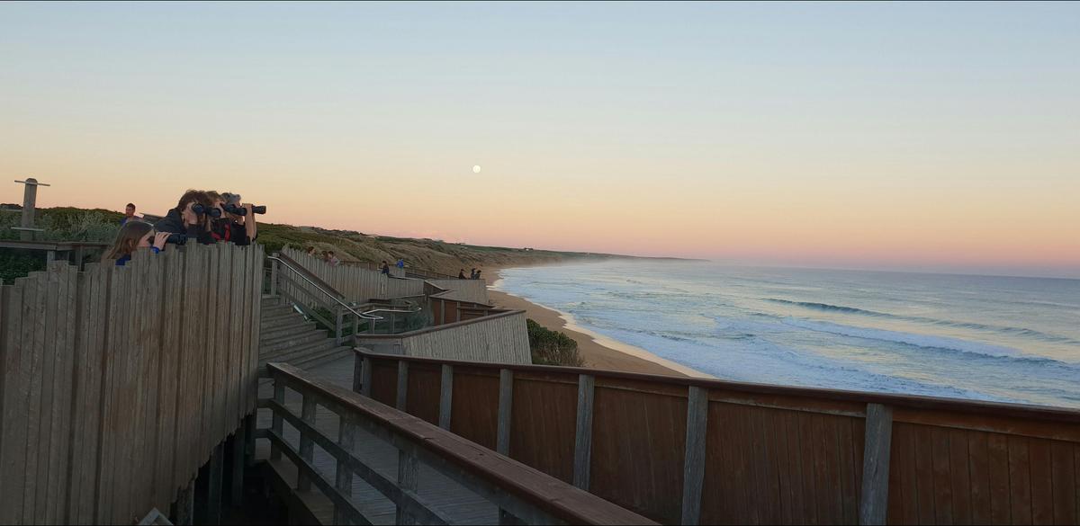 Winters evening at Logan's Beach Whale Platform. Warrnambool. Australia