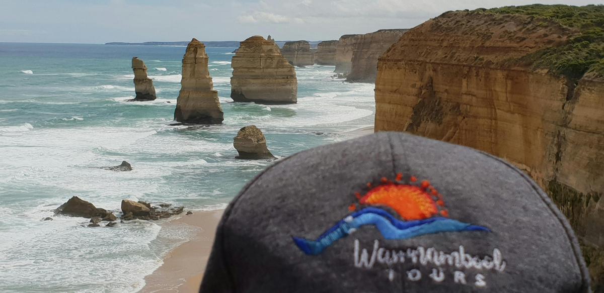 VLine Train to Warrnambool then 1 hour to 12 Apostles with Warrnambool Tours