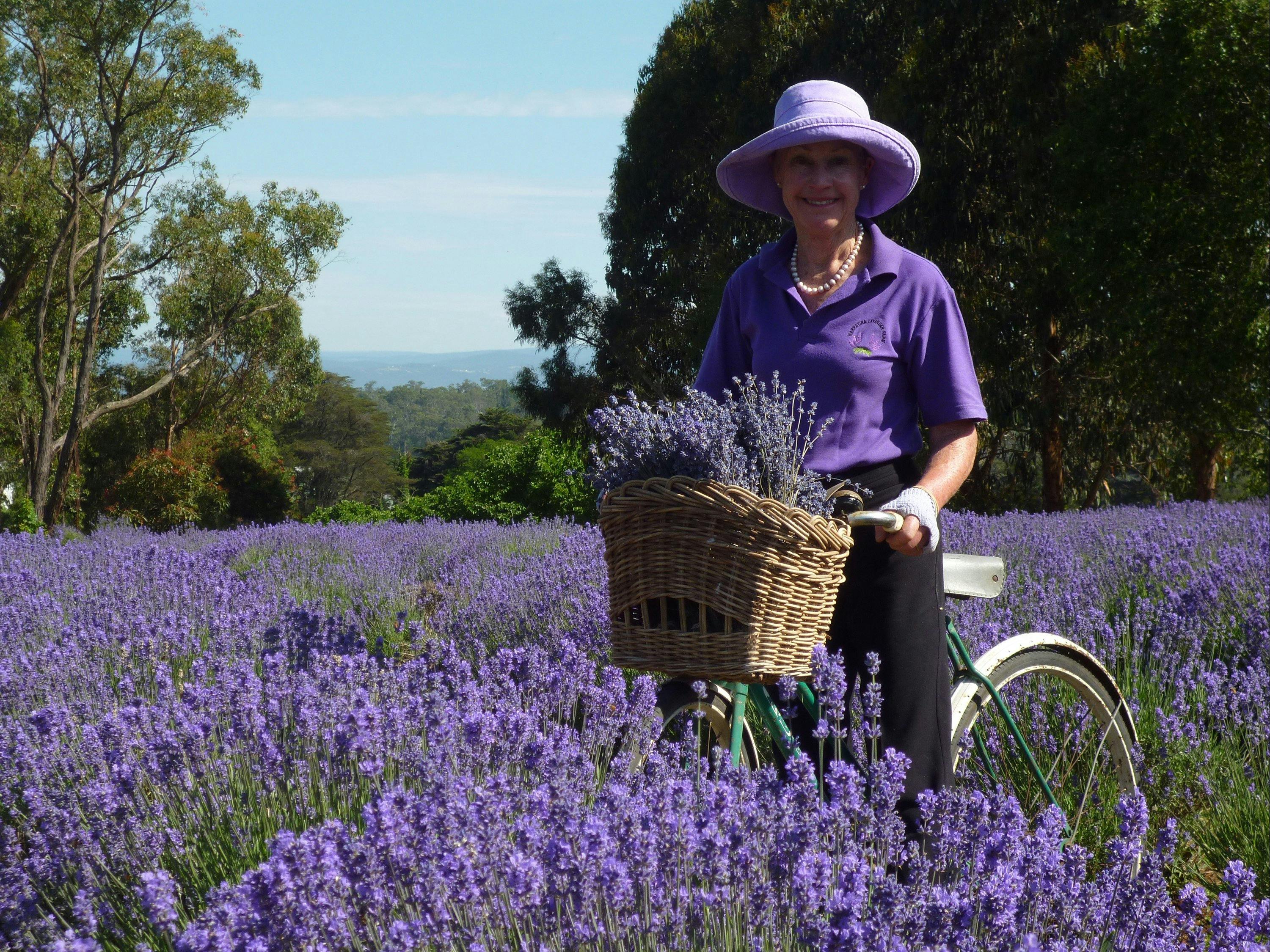 Warratina Lavender Farm