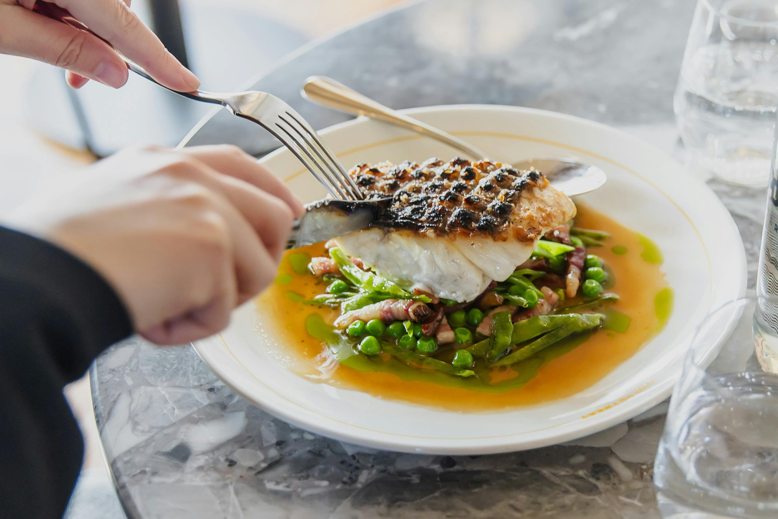 The Retreat Fish of the Day