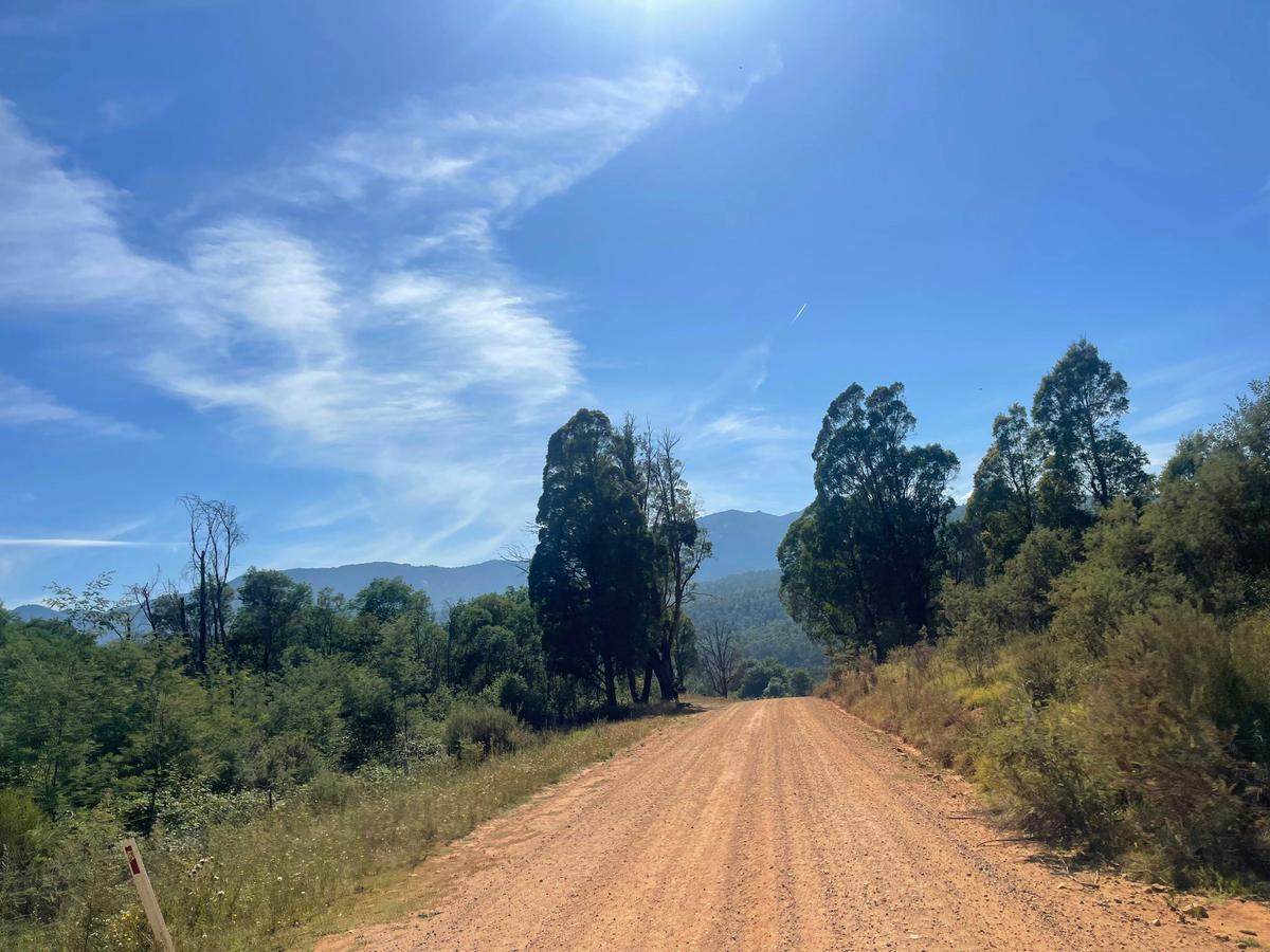 Gravel Road
