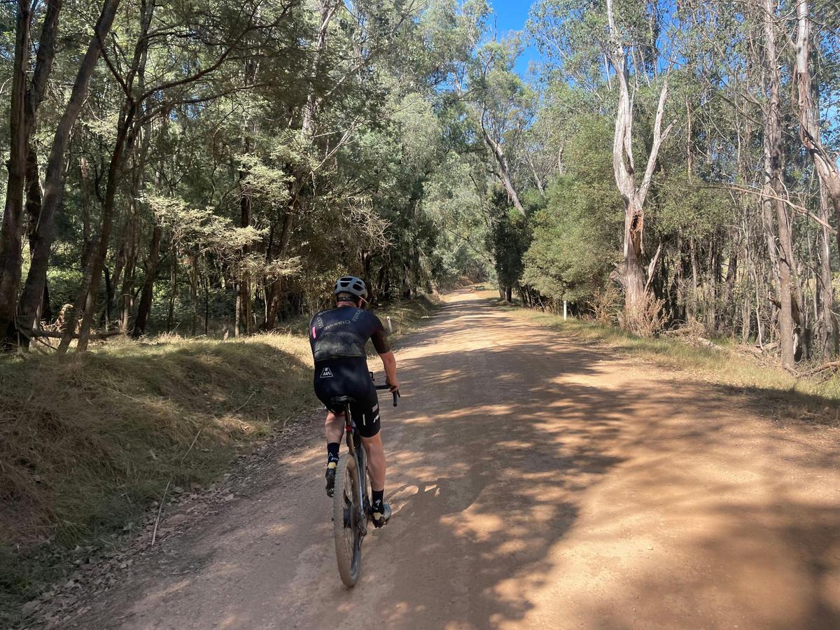 Cyclist on gravel road through bush