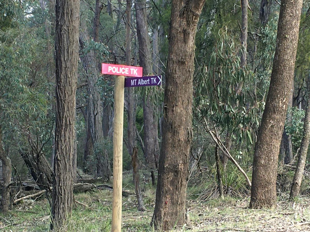 Mt Albert Track