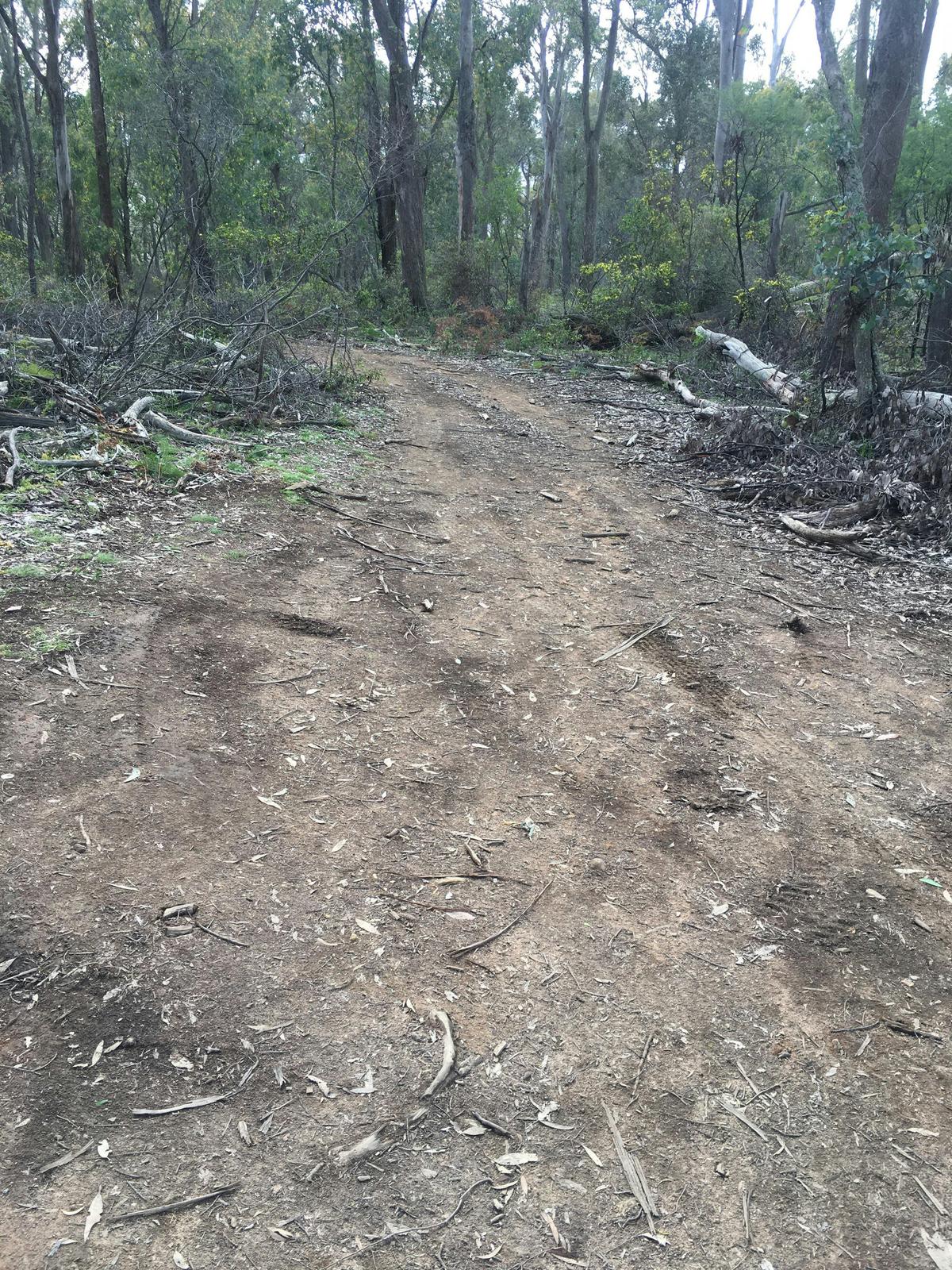 Dirt tracks