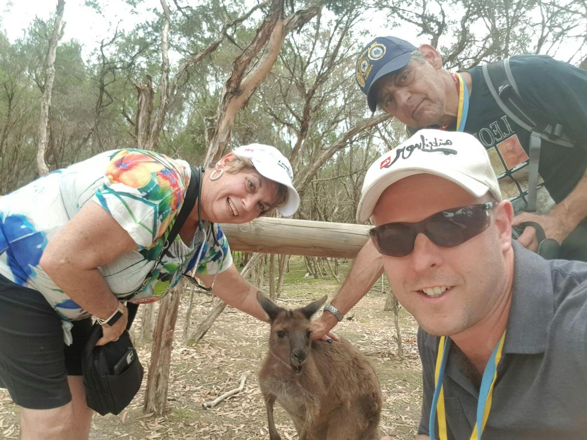 Wallaby feeding at Moonlit Sanctuary