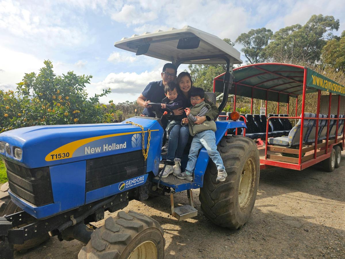 Tractor @ Rayners Orchard