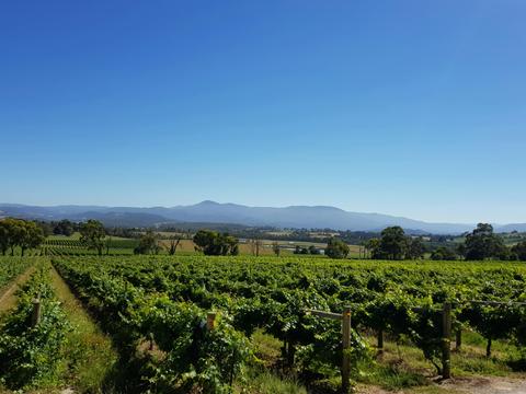 Yarra Valley