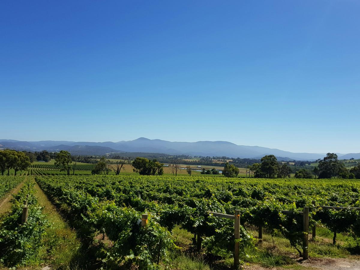 Yarra Valley