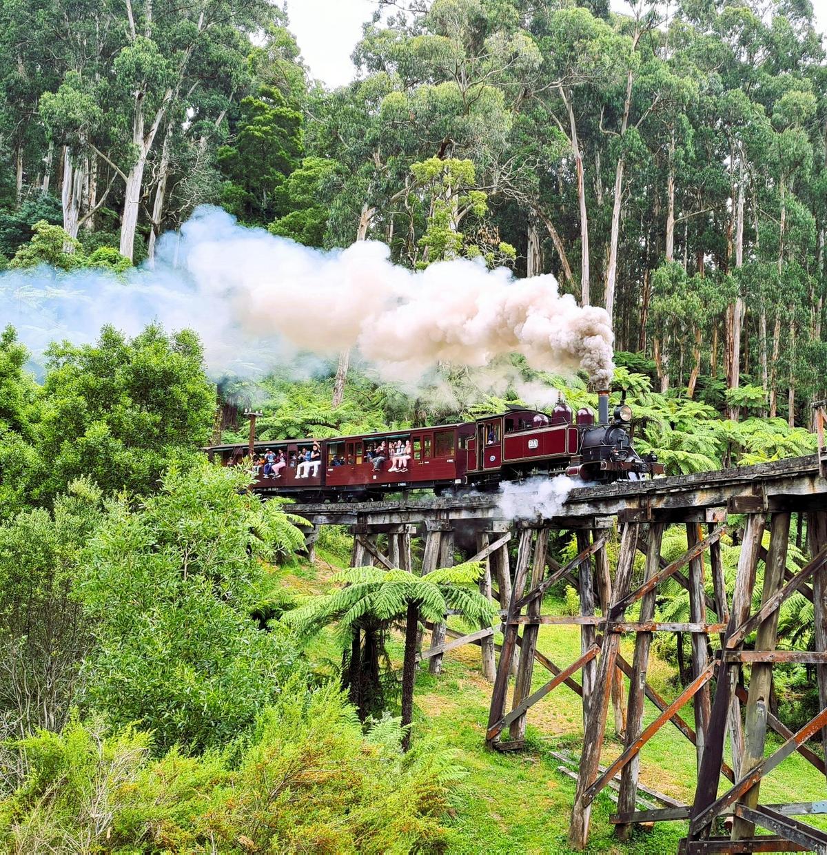 Ride Puffing Billy