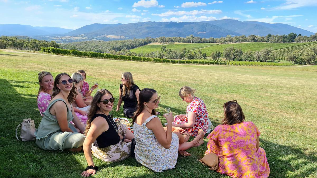 Yarra Valley Winery Scenary