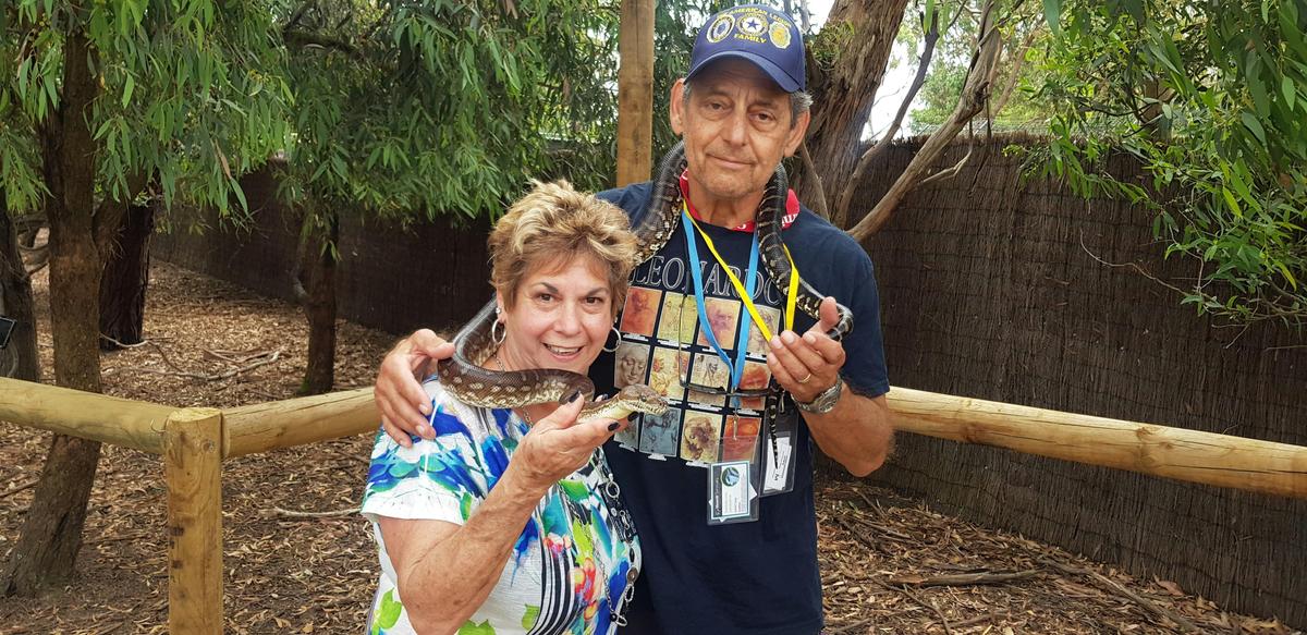 Snake Encounter at Moonlit Sanctuary