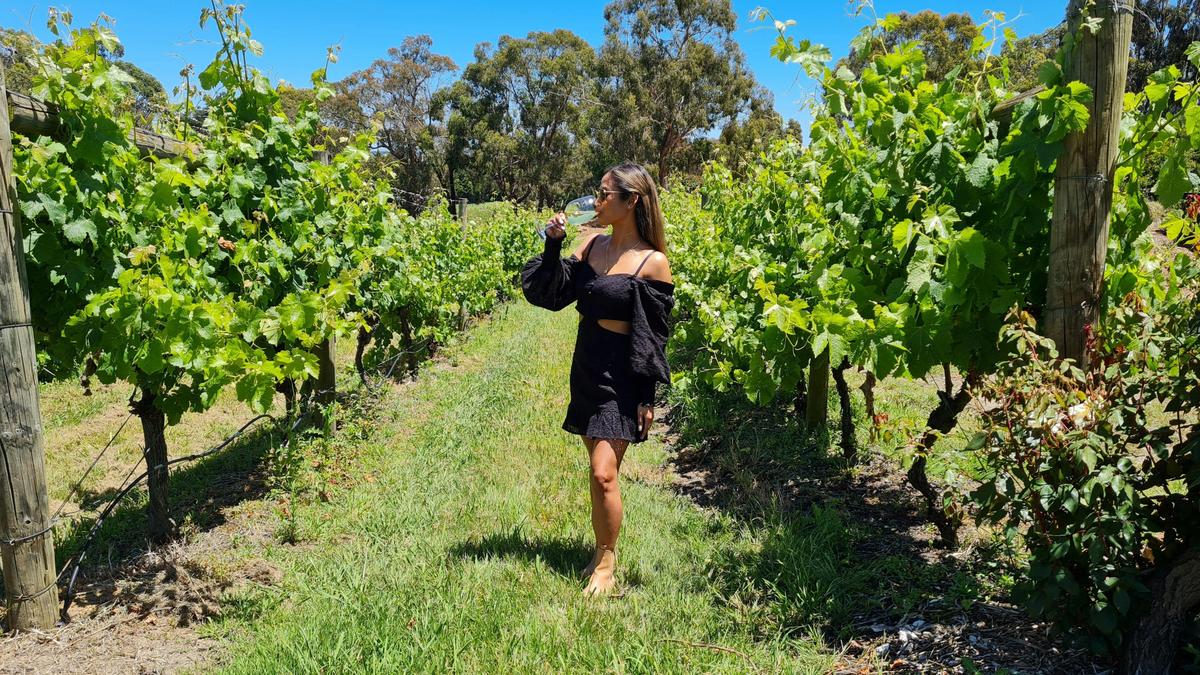 Wine Tasting among the vines