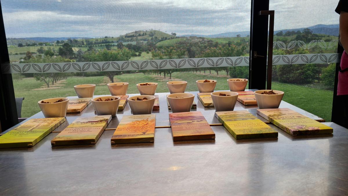 Indulge in a chocolate tasting