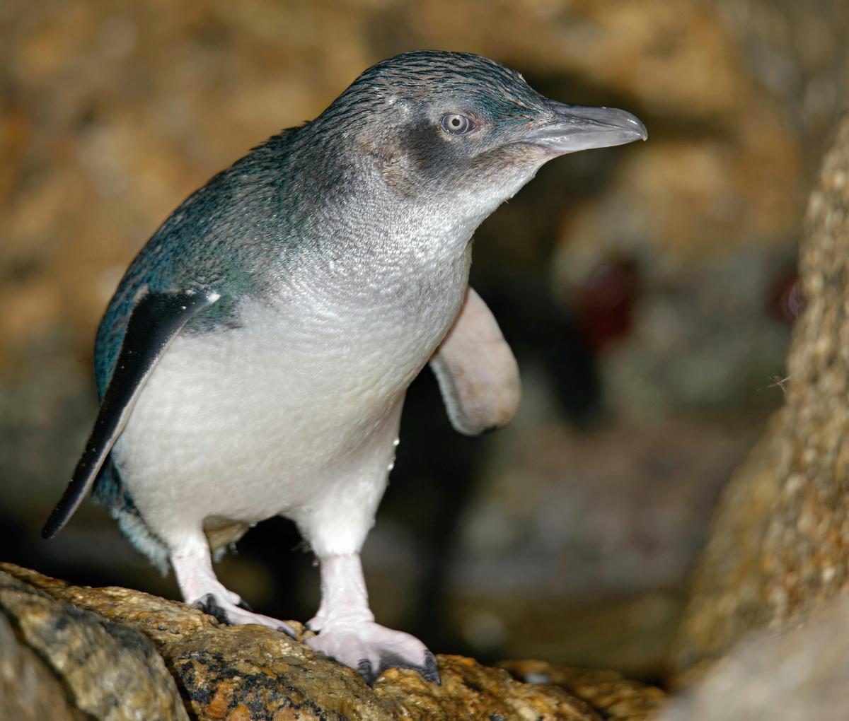 Get up close to the wildlife