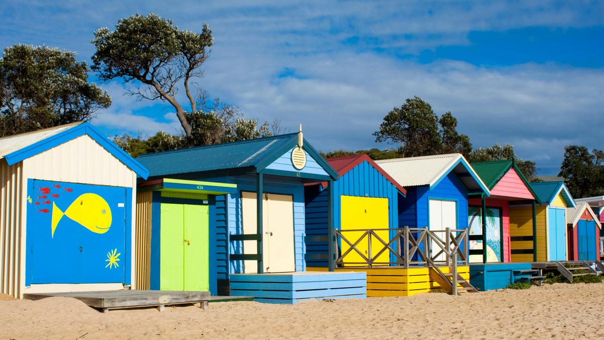 Mornington Peninsula Scenic Bus Tour