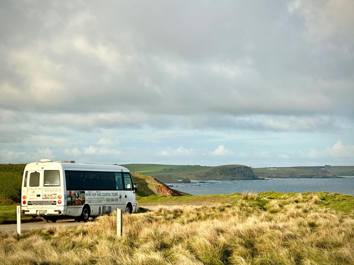 Wine Hop and Coastal Tour Bus at Phillip Island