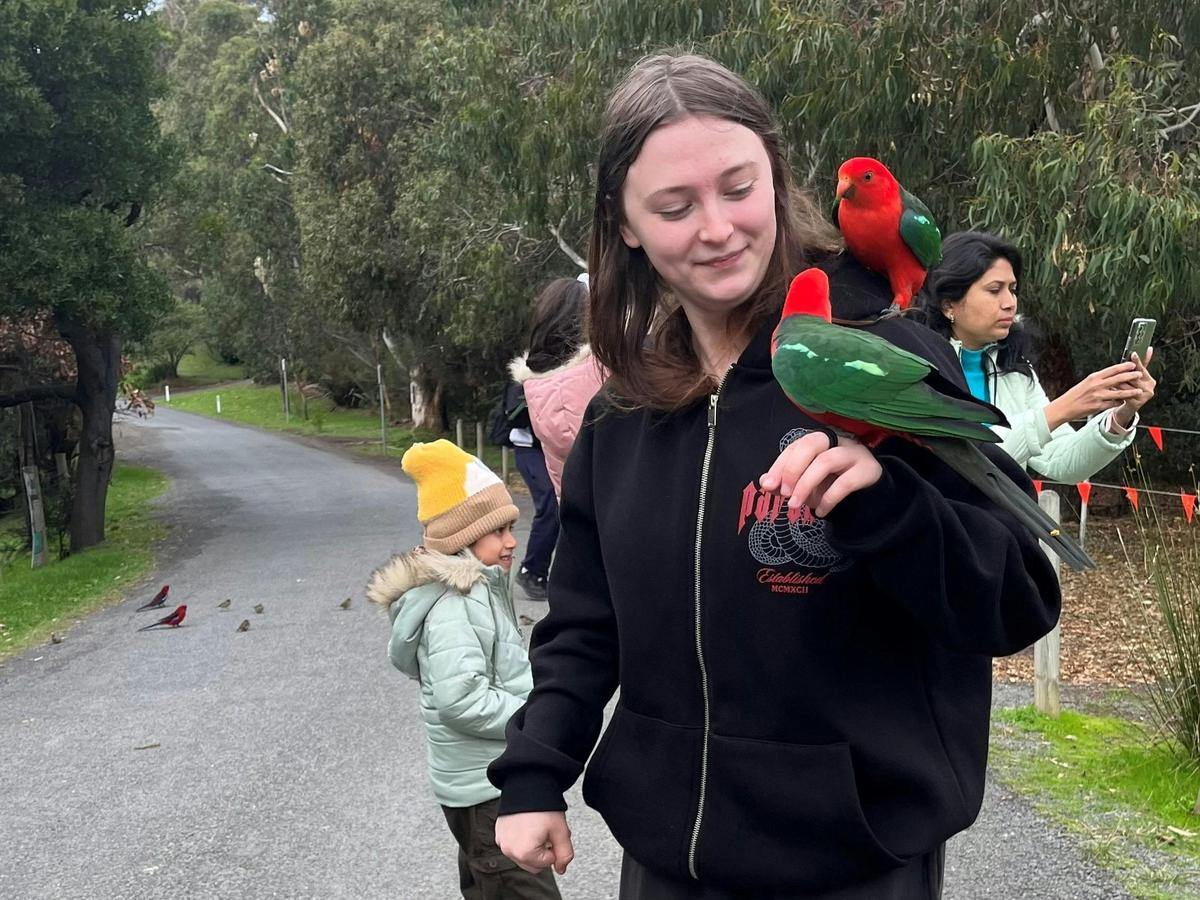 Fun on the Great Ocean Road Tour