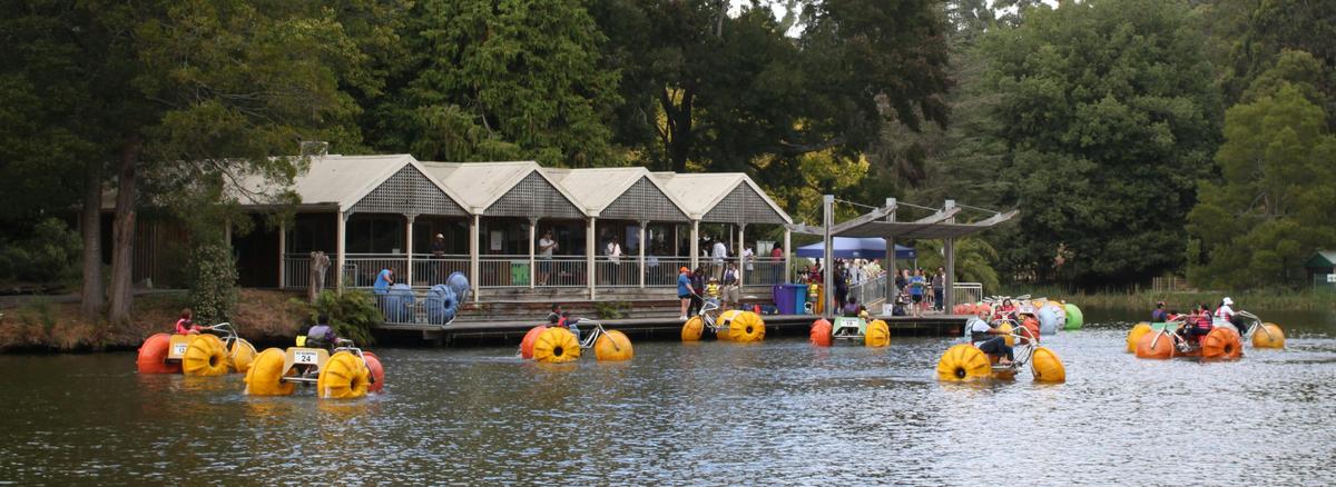 Yarra Valley & Dandenong Ranges Scenic Tour