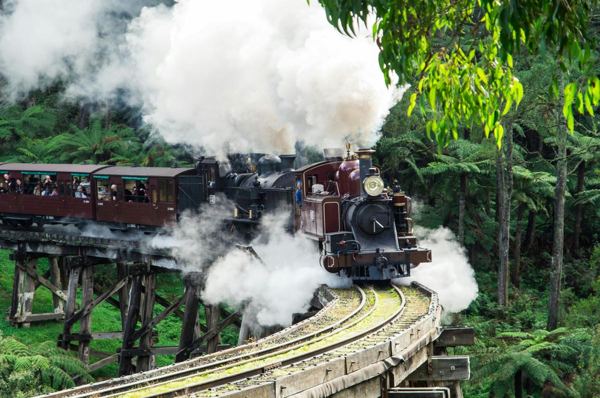 Puffing Billy And Healesville Sanctuary Scenic Tour