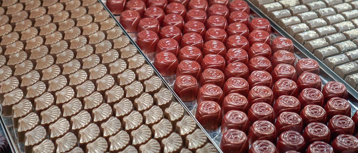 Mornington Peninsula Scenic Tour