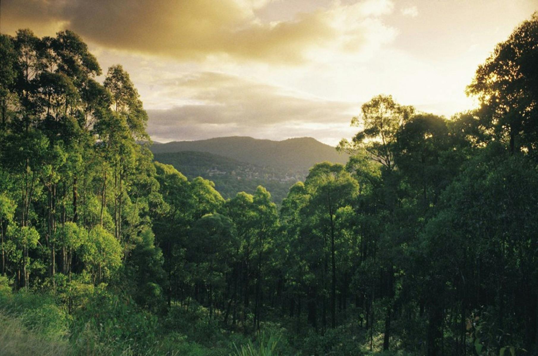 Yarra Valley & the Dandenong Ranges
