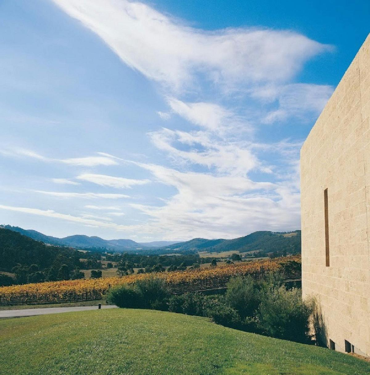 Yarra Valley & the Dandenong Ranges